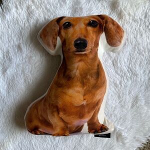Envogue Miniature Dachshund Puppy Dog Decorative Pillow Smooth Double Sided